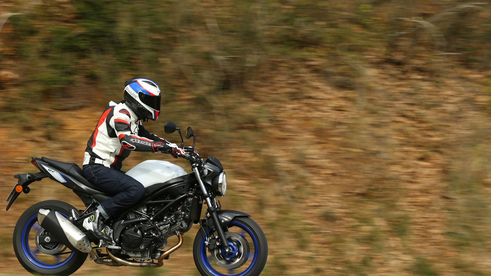 A black and white 2016 Suzuki SV650 motorbike being ridden down a country road